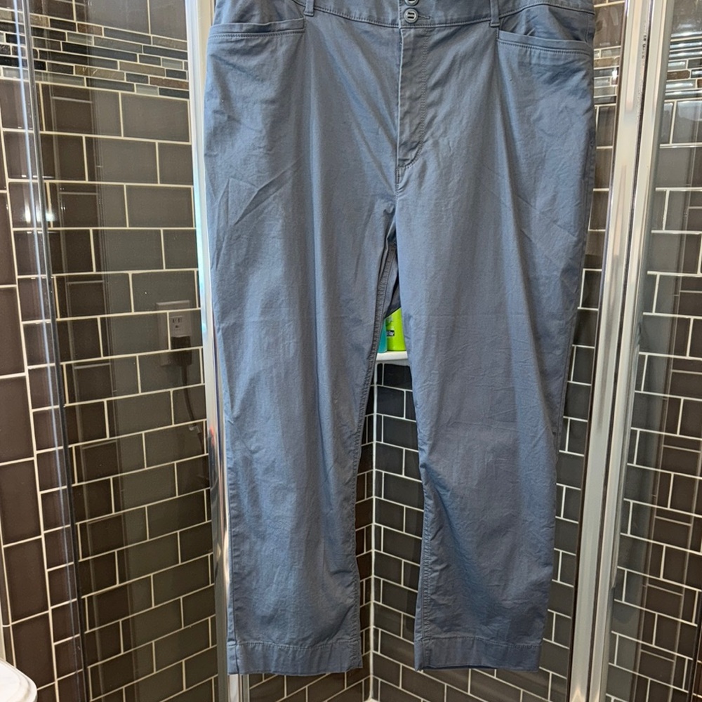 LOFT OutletCurvy Straight Crop Pants in Blue